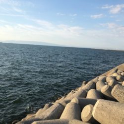 人工島でライトショアとワインド