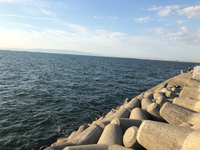 人工島でライトショアとワインド