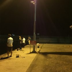 イカパラダイス