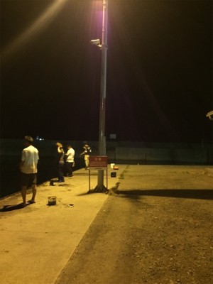 イカパラダイス