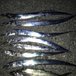 小さいけど、プチ爆発!