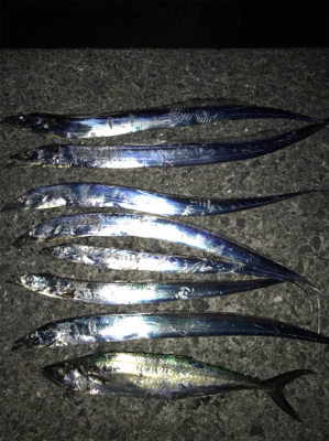 小さいけど、プチ爆発!