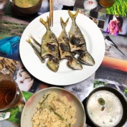 鯵を食べたかっただけなんです