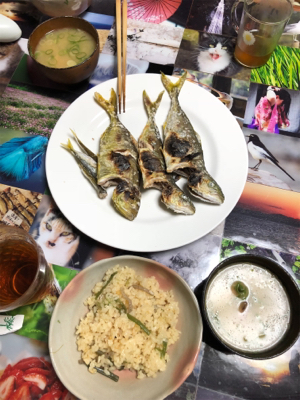 鯵を食べたかっただけなんです