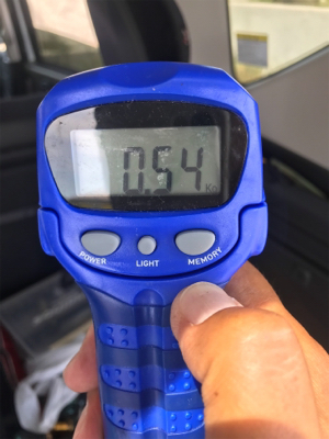 夏烏賊ゲット❗️