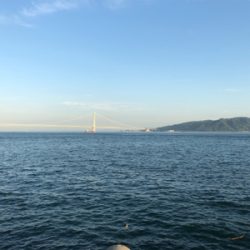 今日の、ケンサキパターン