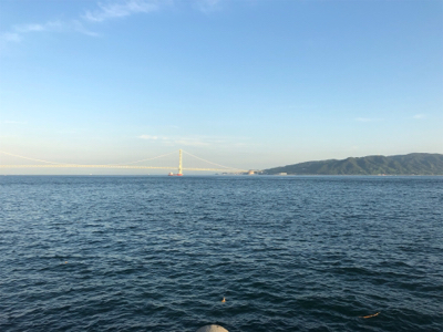 今日の、ケンサキパターン