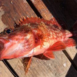 大津にてボート