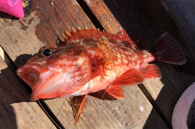 大津にてボート