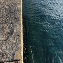 まだまだ小さいです