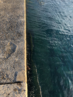 まだまだ小さいです