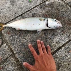 初めての淡路島