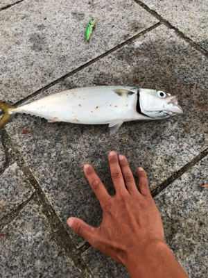 初めての淡路島