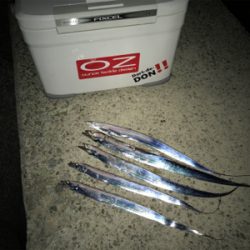 やっと刀狩りが開幕しましたね