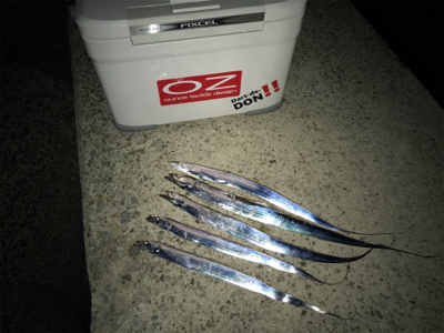 やっと刀狩りが開幕しましたね