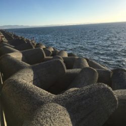 今年初 ワインド