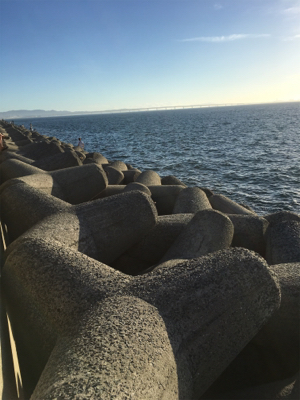 今年初 ワインド