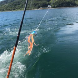 青物 ジギング 明石海峡大橋
