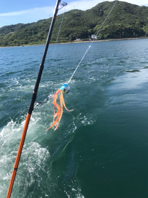 青物 ジギング 明石海峡大橋