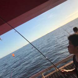 尼崎市魚釣公園