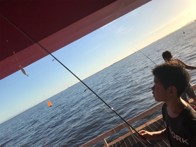 尼崎市魚釣公園