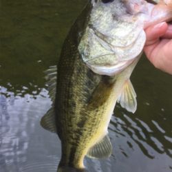 ８月２３日亀山湖バス釣り！