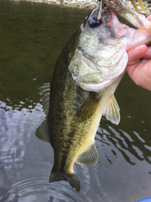 ８月２３日亀山湖バス釣り！