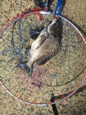 台風後の2日後は大時化！