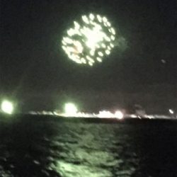 まだまだ小さい