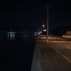 広島市内、夏メバル厳しく…