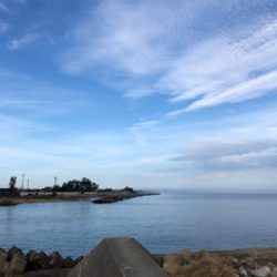 今日も朝からしゃくってきました！