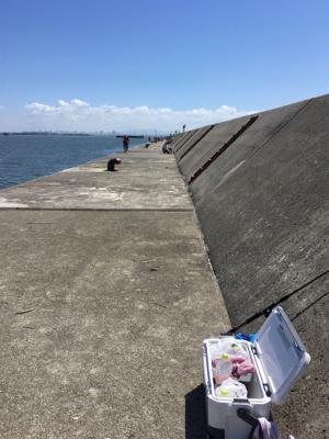 台風明けのムコイチ