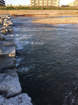 夕方ナマズ釣り