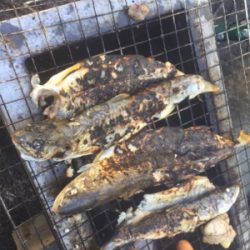 北海道旅行フィッシング1