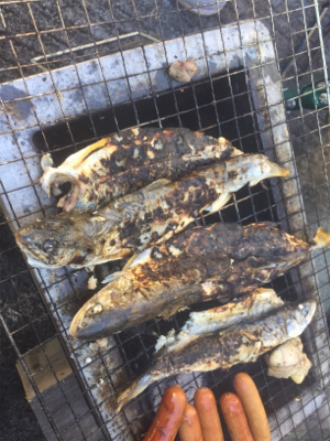 北海道旅行フィッシング1