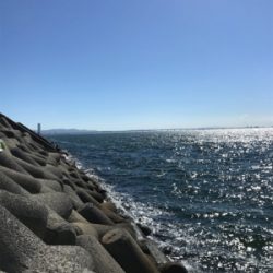 台風前と台風後、一転！