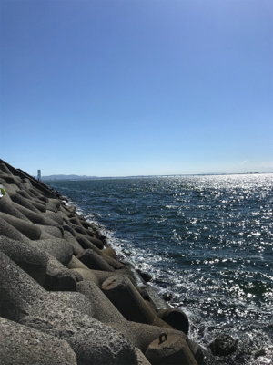 台風前と台風後、一転！