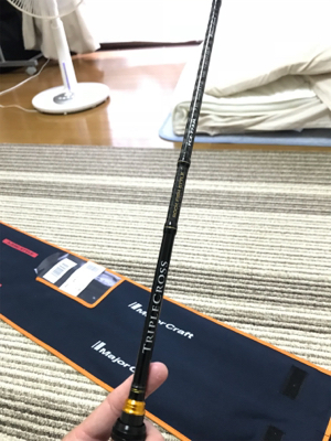 念願の壱岐アジング