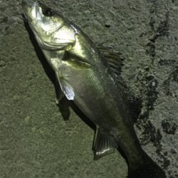 いい場所みっけ