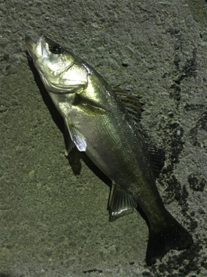 いい場所みっけ