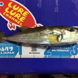 弟とマイボート釣行