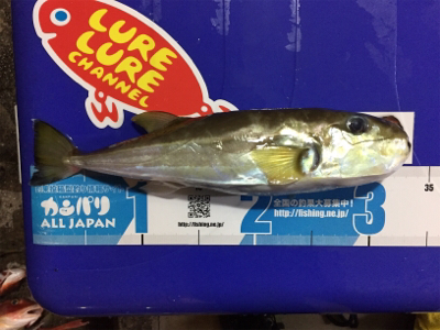 弟とマイボート釣行