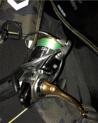 秋田港シーバス、マゴチ