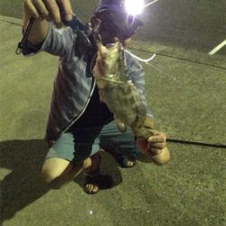 壱岐島釣行2日目