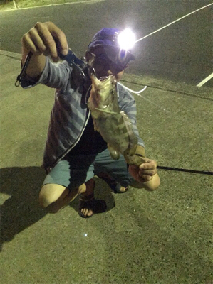 壱岐島釣行2日目