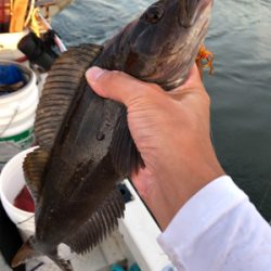 フィッシングショーの後