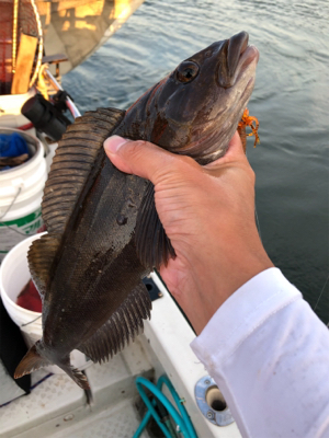 フィッシングショーの後