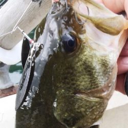 8月25日の榛名湖バス釣り!