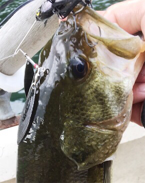 8月25日の榛名湖バス釣り!