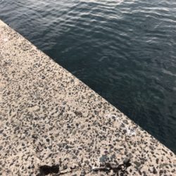 エギングちょい遠征